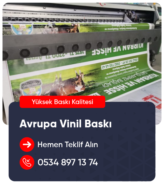 avrupa vinil baskı