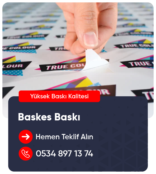 baskes baskı